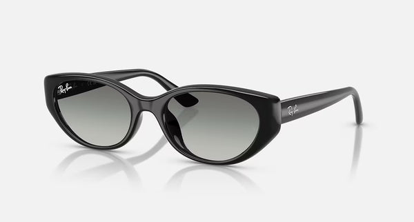 Ray-Ban RB4475D