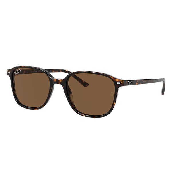 Ray-ban Leonard RB2193 902/57