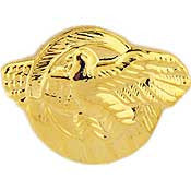 PINS- WWII, RUPTURED DUCK HON.DISCHARGE (MINI) (5/8")