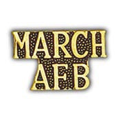 PINS- USAF, SCR, MARCH AFB (1")