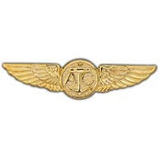 WING- USN, AIRCREW, GOLD (2-3/4")