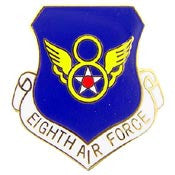 Pins: USAF - Air Force, 008TH, SHIELD (1")