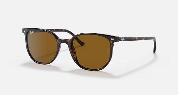 Ray-Ban RB2197
