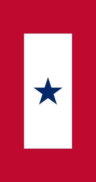 BANNER- Family Member in Service - 1 Star (29"x 40")