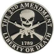 PINS- 2ND AMENDMENT (1")