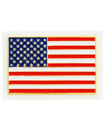 PINS- US Flag (1 1/16")