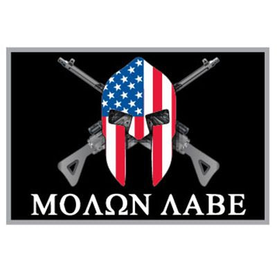 PINS- Molon Labe