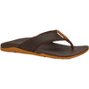 XtraTuf AUNM900 / XAUNM901 Men's Auna Sandal - Brown / Tan