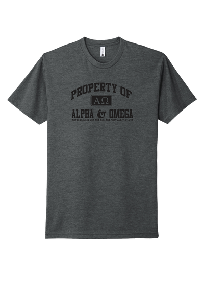 MP Property of Alpha & Omega