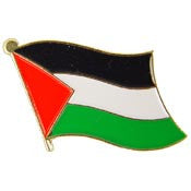 PINS- PALESTINE (FLAG) (1")