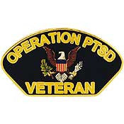 PINS- FUN, OPERATION PTSD (1-1/4")