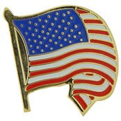 PINS- USA FLAG, WAVY/CURLED (1")