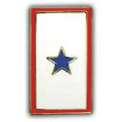 PINS- FAMILY MEM.IN SVC.(1) BLUE STAR (1")