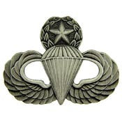 WING- ARMY, PARA, MASTER (PEWTER) (1-1/4")