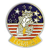 PINS- USN, Navy TOMCAT (1")