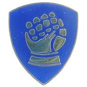 PINS- ARMY, 046TH INF.DIV. (1")