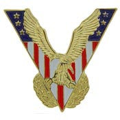 PINS- VETERAN VICTORY EAGLE (1")