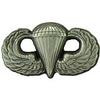 WING- ARMY, PARA, BASIC (1")