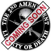 PINS- 2ND AMENDMENT (1")