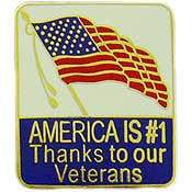 PINS- USA, AMERICA IS #1 (1")