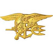 PINS- USN, Navy SEAL TEAM, TRI, GLD (2-3/4")