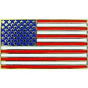 PINS- USA FLAG (1")