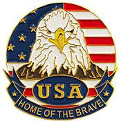PINS- USA, FLAG, EAGLE, CIRCLE (1")