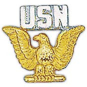 Pins: USN - Navy, ENLISTED, GLD & SLV (1")