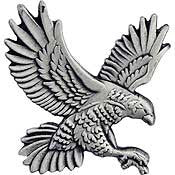 Pins: USAF BIRD, FALCON, RIGHT (1")
