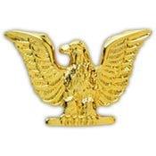 Pins USN Navy, ENLISTED, GOLD (1")