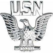 Pins USN Navy, ENLISTED, SLV (1")